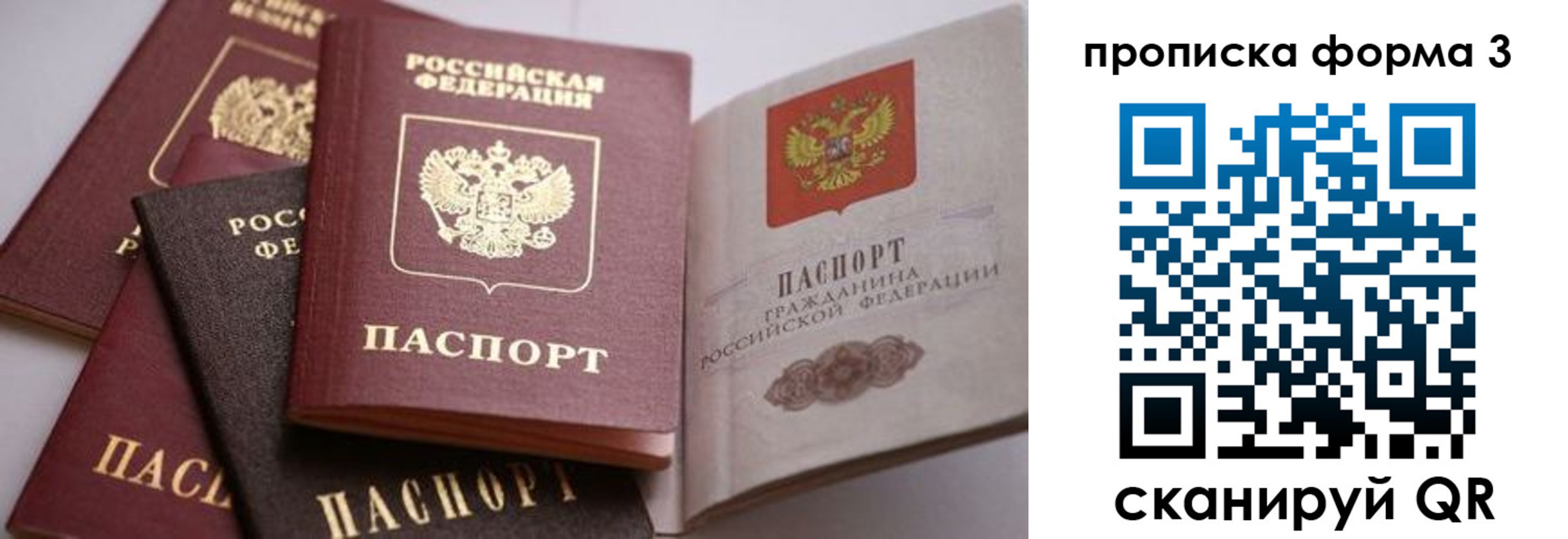 прописка для школы в Рязани